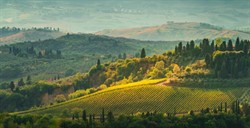 4 Things Not to Miss During Your Tuscan Vacation